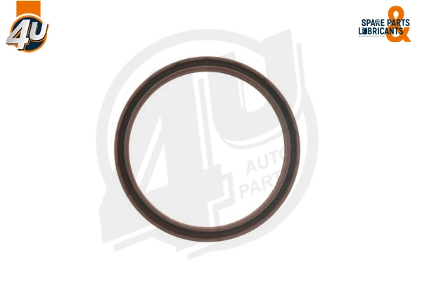 Shaft Seal, crankshaft (29795VO)