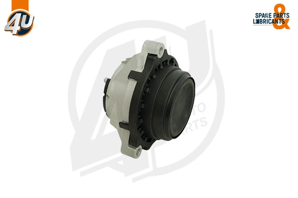 Mounting, engine (71645BW)