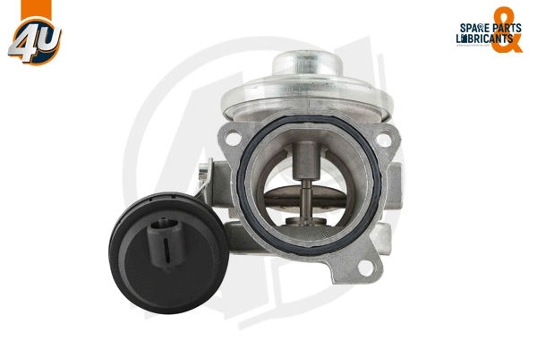 EGR Valve (45794VV)