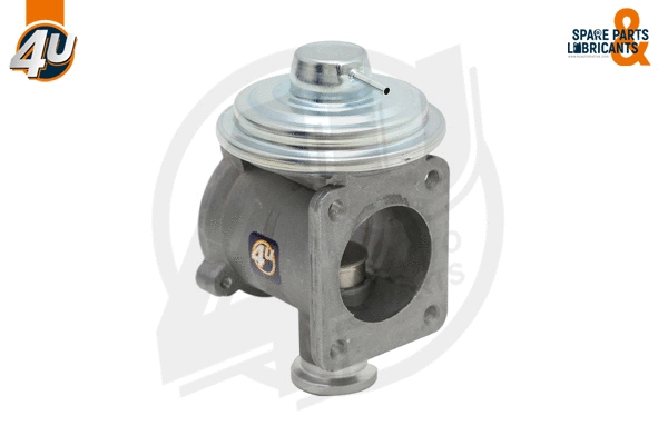 EGR Valve (45839BW)