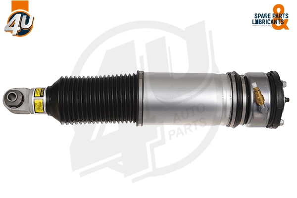 Air Suspension Strut (19257BW)