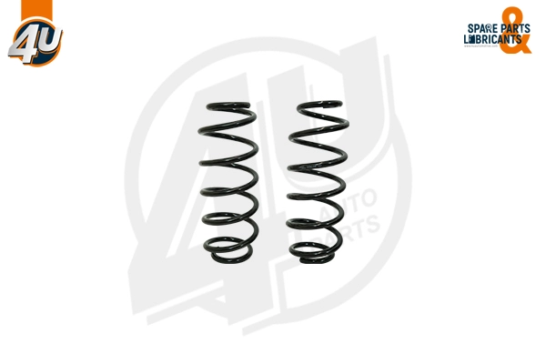 Suspension Spring (39608VV)