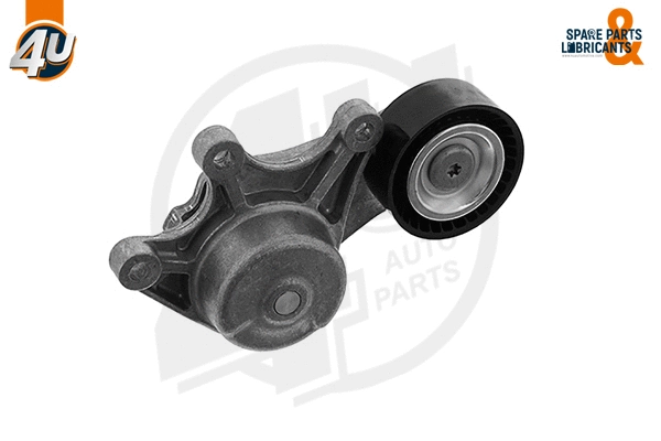 Belt Tensioner, V-ribbed belt (32174BW)