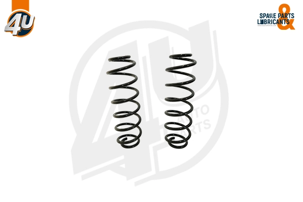Suspension Spring (39606VV)