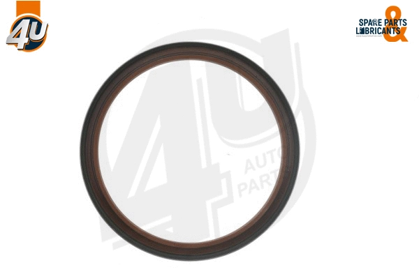 Shaft Seal, crankshaft (29791VO)