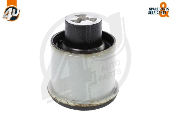 Bushing, axle beam (72320VV)