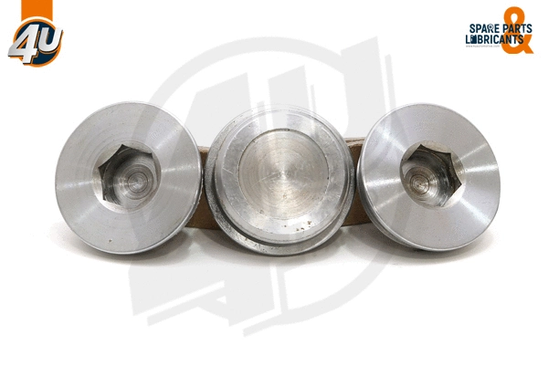 Screw Plug, crankcase (28132VO)