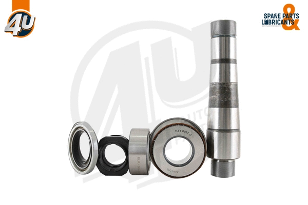 Repair Kit, kingpin (12310VO)