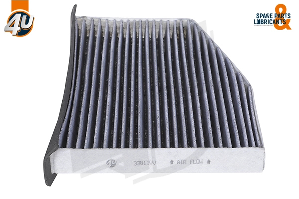 Filter, cabin air (33813VV)