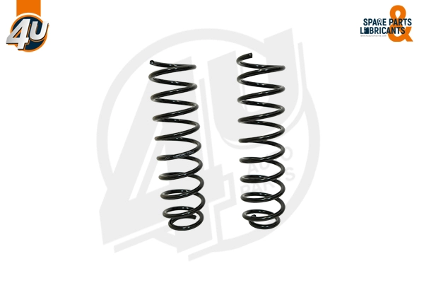 Suspension Spring (39598VV)