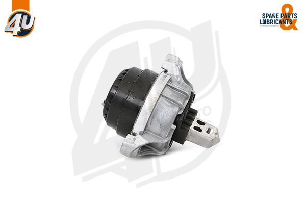 Mounting, engine (71647BW)