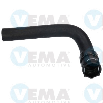 Radiator Hose (VE55161)