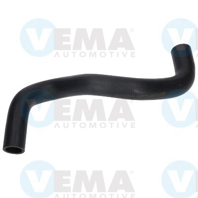 Radiator Hose (VE54667)