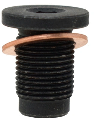 Screw Plug, oil sump (501)