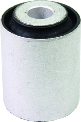 Mounting, control/trailing arm (210024)