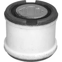 Bushing, axle beam (21317)