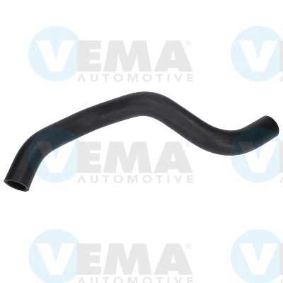 Radiator Hose (VE55129)