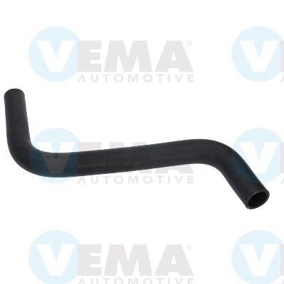 Radiator Hose (VE55135)