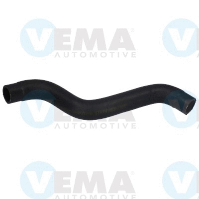 Radiator Hose (VE54525)