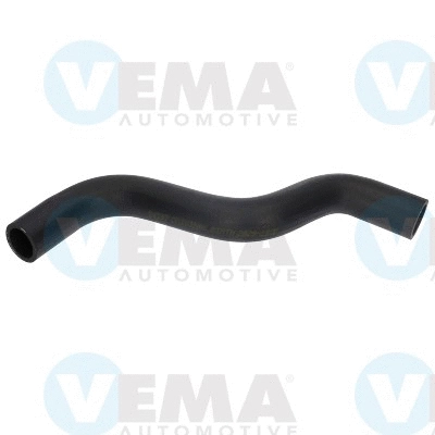 Radiator Hose (VE54597)