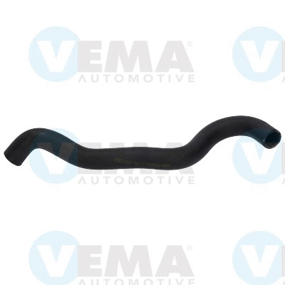 Radiator Hose (VE54998)