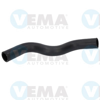 Radiator Hose (VE54588)