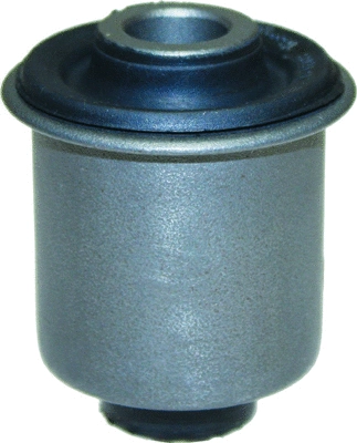 Mounting, control/trailing arm (210108)