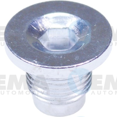 Screw Plug, oil sump (309024)