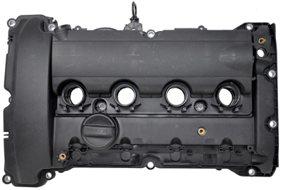 Cylinder Head Cover (313010)