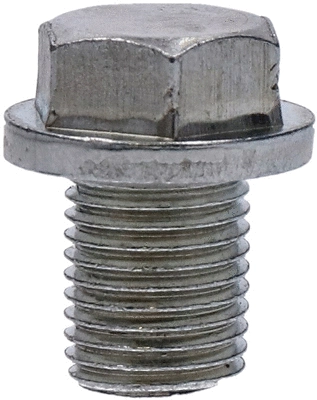 Screw Plug, oil sump (309011)