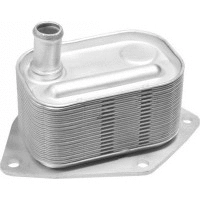 Oil Cooler, engine oil (341038)