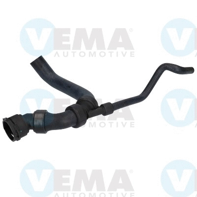 Radiator Hose (VE54551)
