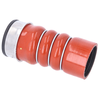 Charge Air Hose (VE55674)