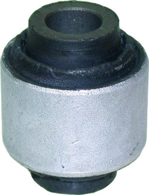 Mounting, control/trailing arm (210125)