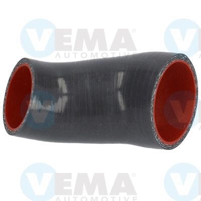 Charge Air Hose (VE55547)