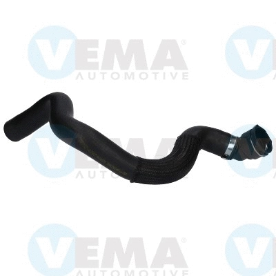 Radiator Hose (VE55177)