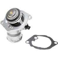 Coolant Flange (VE80189)