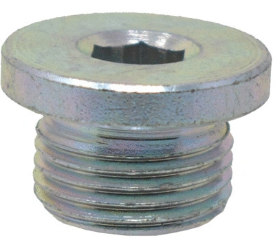 Screw Plug, oil sump (350)