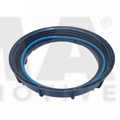 Cap, fuel tank (303019)