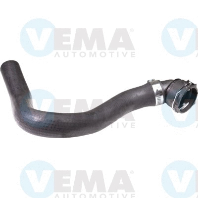 Radiator Hose (VE54507)