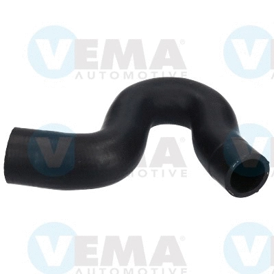 Radiator Hose (VE54895)