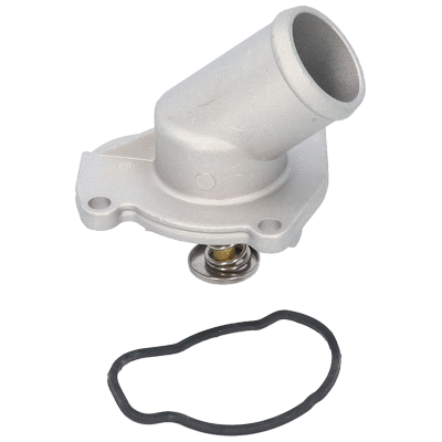 Coolant Flange (VE81080)