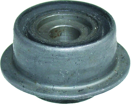 Bushing, axle beam (187015)