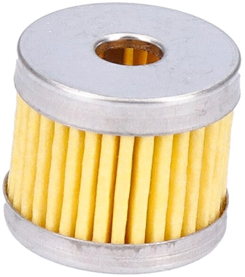 Fuel Filter (144053)