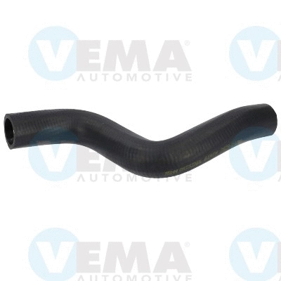 Radiator Hose (VE55144)