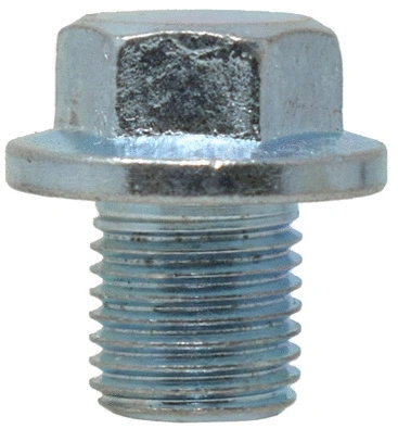 Screw Plug, oil sump (360)