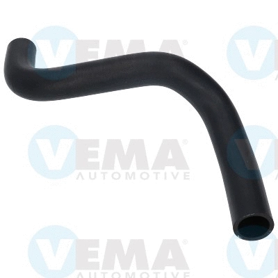 Radiator Hose (VE55137)