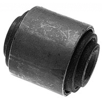 Mounting, control/trailing arm (17128)