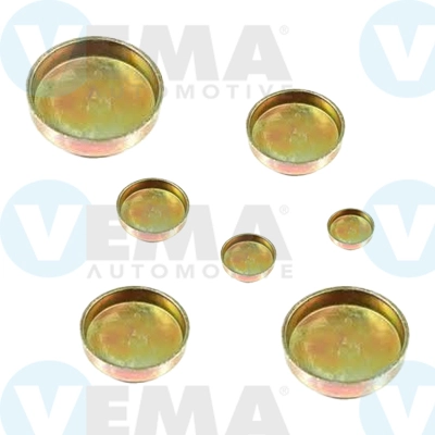 Screw Plug, crankcase (305020)