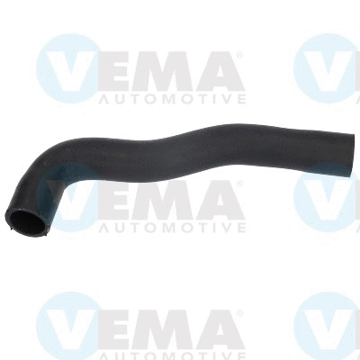 Radiator Hose (VE54854)